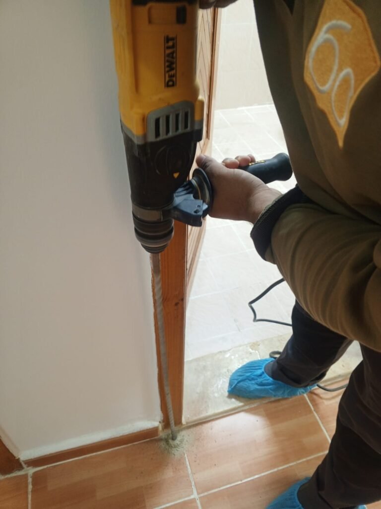 post termite treatment